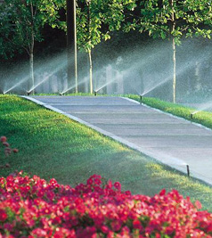 garden sprinkler system