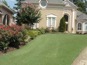 house with manicured lawn