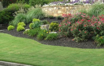 garden softscape and hardscape