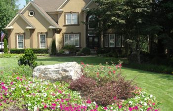 a house with a manicured lawn and well-cared plants