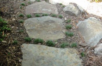 garden flagstone paver