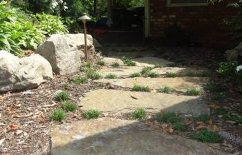 garden flagstone paver