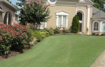 a house with a manicured lawn and well-cared plants