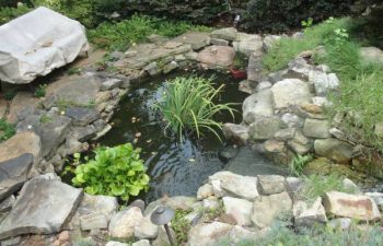 a garden pond with hardscape