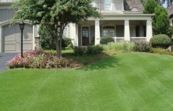 a house with a manicured lawn and well-cared plants