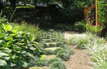 softscape and a garden flagstone paver