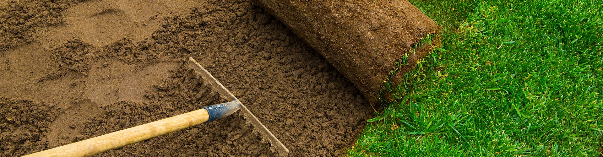 sod installation